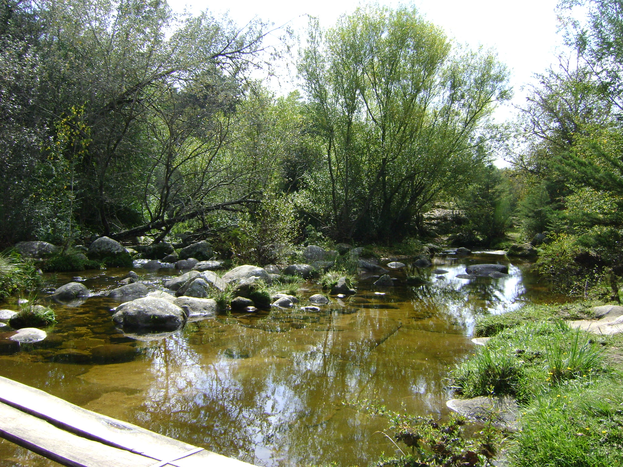 fotos/2011 - Los Reartes/DSC03396.JPG